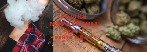 прущие грибы Абаза