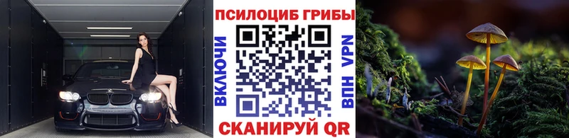Псилоцибиновые грибы Magic Shrooms  Губкин 