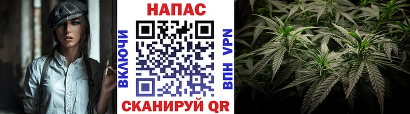 Шишки марихуана гибрид  Губкин 
